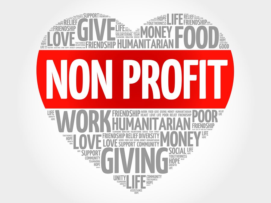 The Main Purpose of a Nonprofit Organization